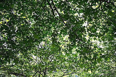 育碧：《刺客信条：影》是系列画面最先进游戏