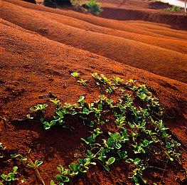 《哆啦A梦 大雄的牧场物语2》新预告公开 11月2日正式发售